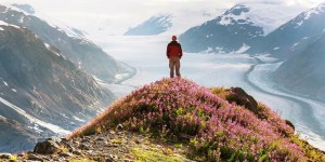 tzoo.13779.0.837096.b_alaska_shutterstock_660884230